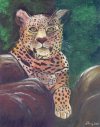 NOT FOR SALE LEOPARD